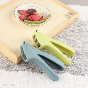 Factory supply garlic press garlic masher