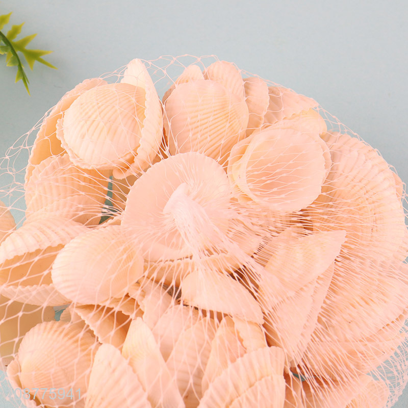 China imports small natural sea shells for DIY crafts
