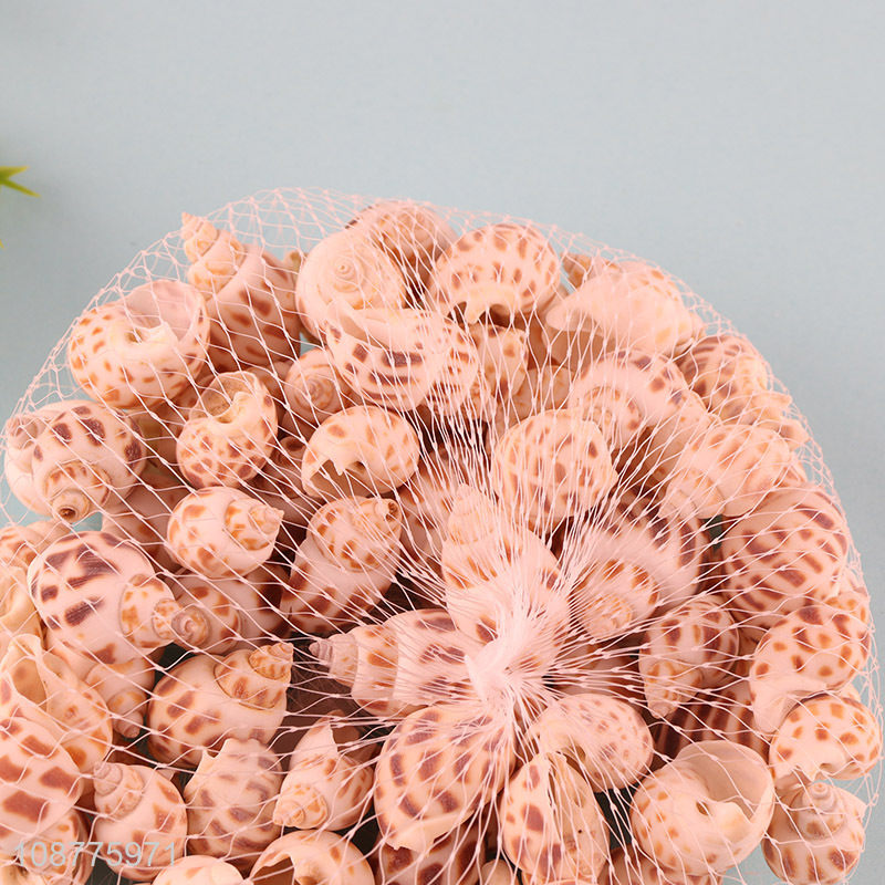 Online wholesale small natural sea shells for DIY crafts