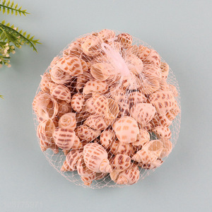 Online wholesale small natural sea shells for DIY crafts