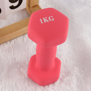 Wholesale 1kg dumbbell hand weights for men women