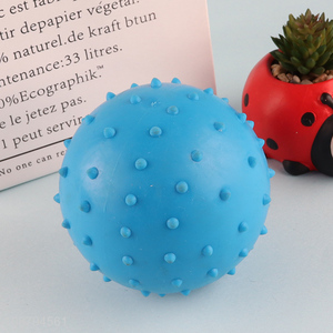 New product blue pets leaky food toys ball