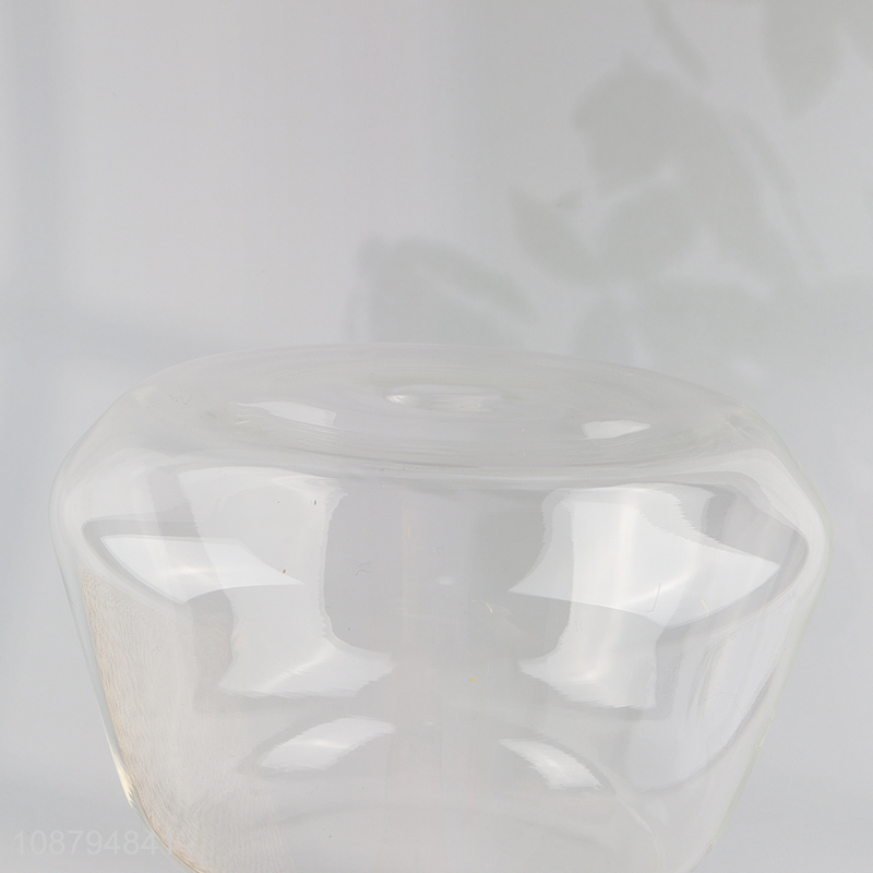 Wholesale modern glass flower vase hydroponic vase for decor