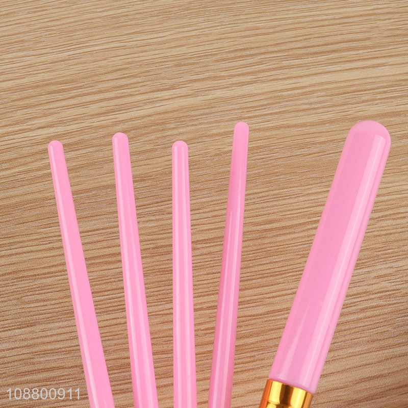 Good quality makeup tool 5pcs makeup brush set