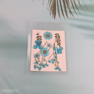 Yiwu factory blue decorative natural dried pressed flower