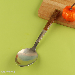 Factory Price Imitation <em>Wood</em> Grain Handle Stainless Steel Basting <em>Spoon</em>