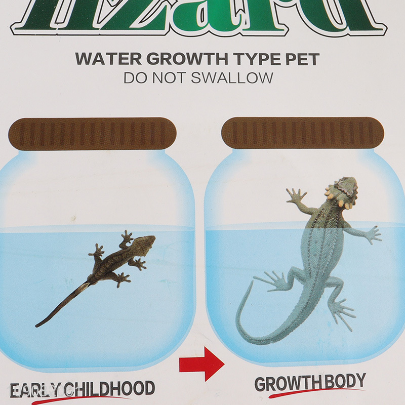 Good Quality Water Growing Animal Growing Lizard in Water