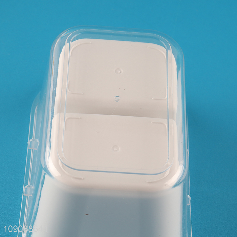 Hot Selling 450ML Airtight Divided Food Storage Container for Fruits