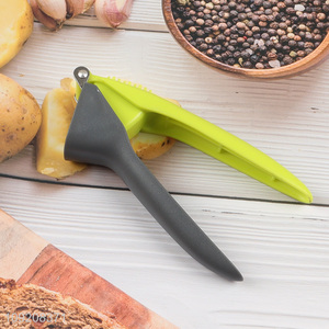 Top products professional kitchen gadget garlic  tool garlic press for sale