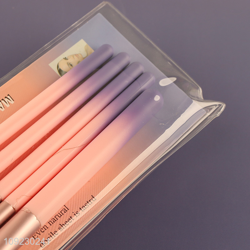 Good quality professional 5pcs makeup brush cosmetic brush set