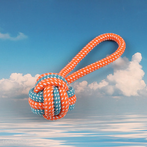 Most popular bite-resistant pet dog cotton rope chew toys interactive toys