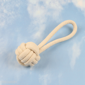Hot selling indoor outdoor pet dog cotton rope chew toys training toys wholesale