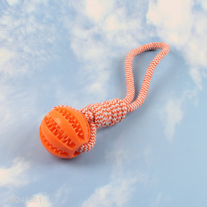 China supplier indoor outdoor pet dog chew toys training interactive toys for sale