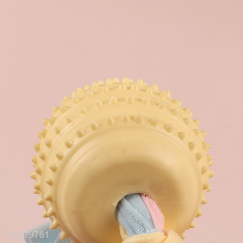 Wholesale tpr pet chew toys teething toys pet interactive toys