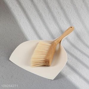 China factory cleaning broom mini dust pan and brush set