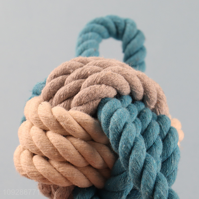 Hot products bite-resistant pet chew toys teething toys