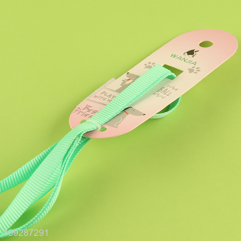 Low price adjustable outdoor pet collar pet leash