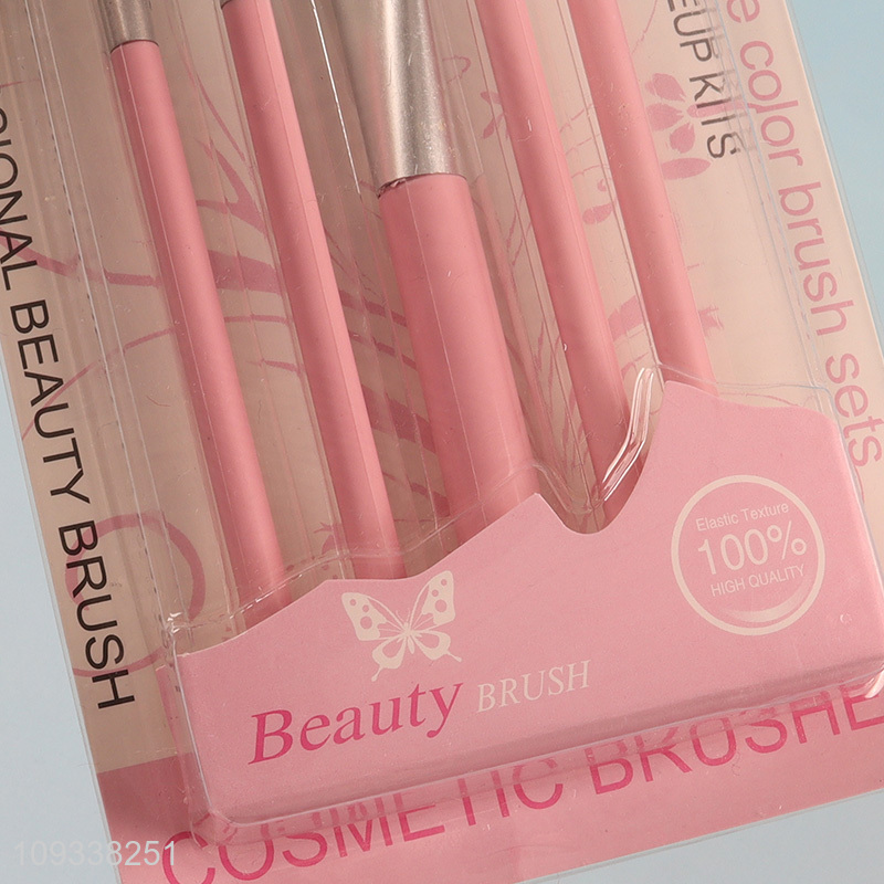 Popular products 5pcs makeup tool makeup brush cosmetic brush set