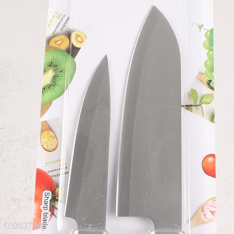 2 Pieces Plastic Handle Stainless Steel Kitchen Knife Combo