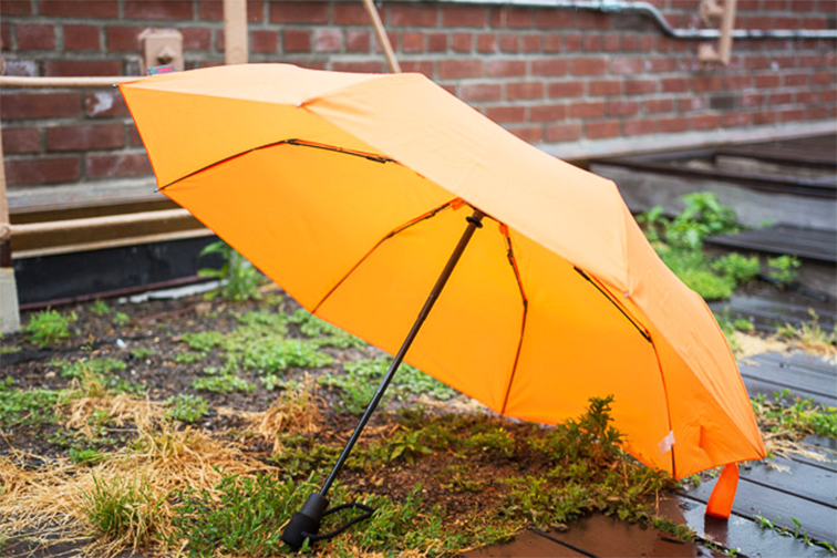 Choosing the Best Umbrella