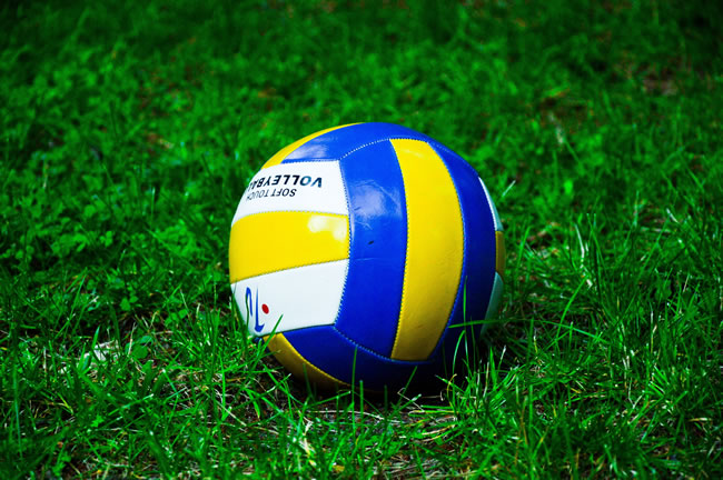 How to choose a qualified volleyball